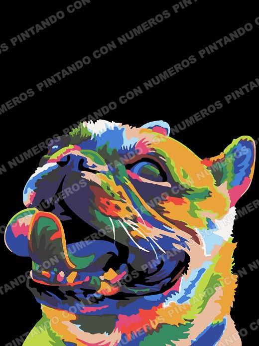 128 · BULL DOG FRANCES MULTICOLOR