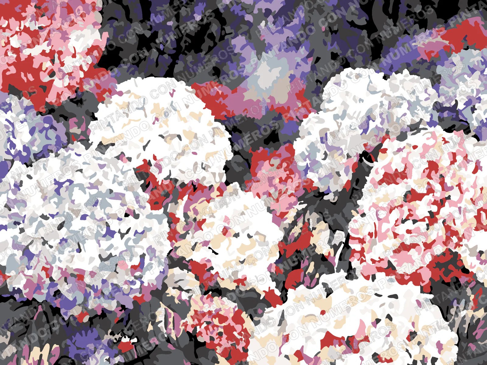 253 · HORTENSIAS EN FLOR