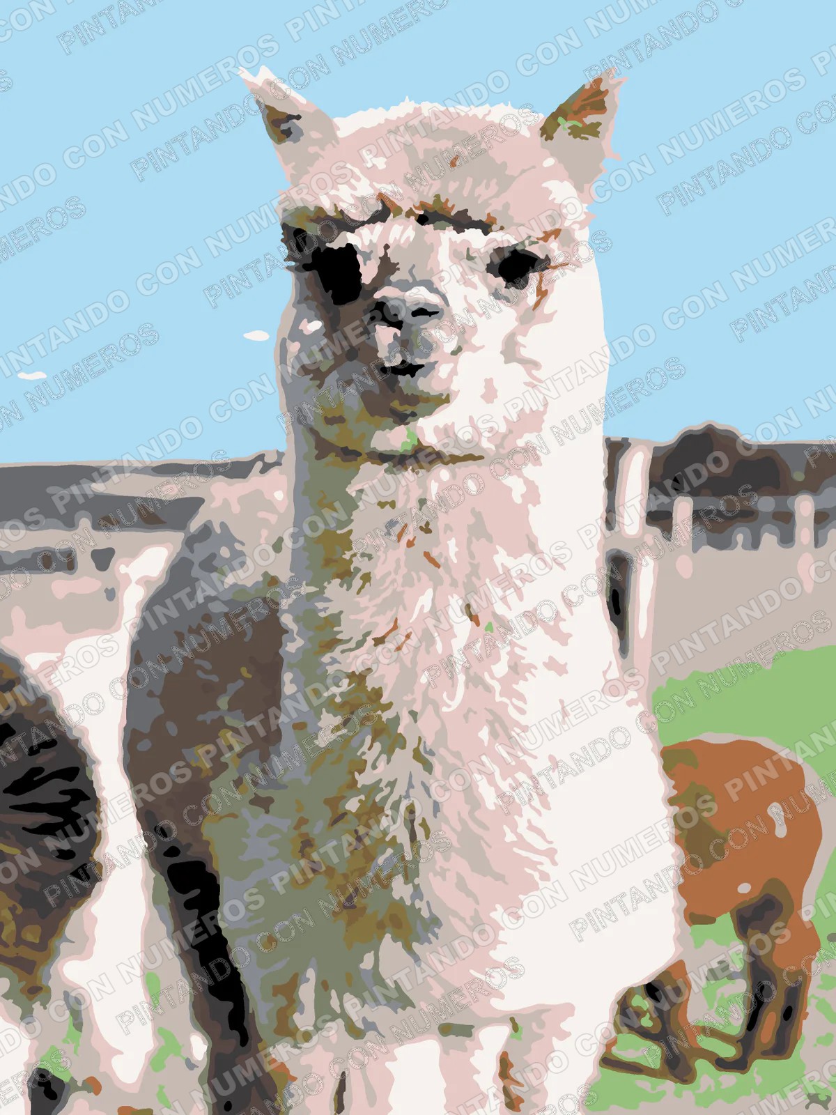 263 · ALPACA EN CAMPO