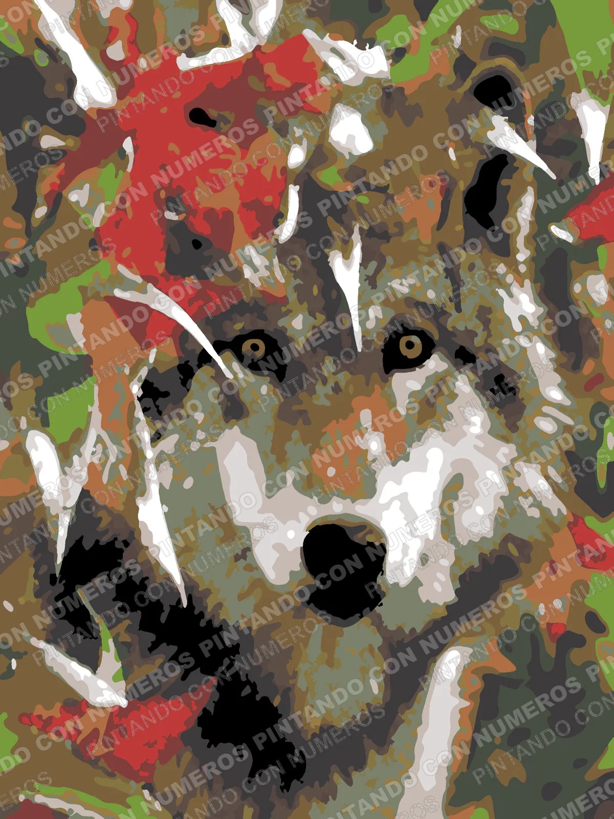 303 · MAPACHE OTOÑAL