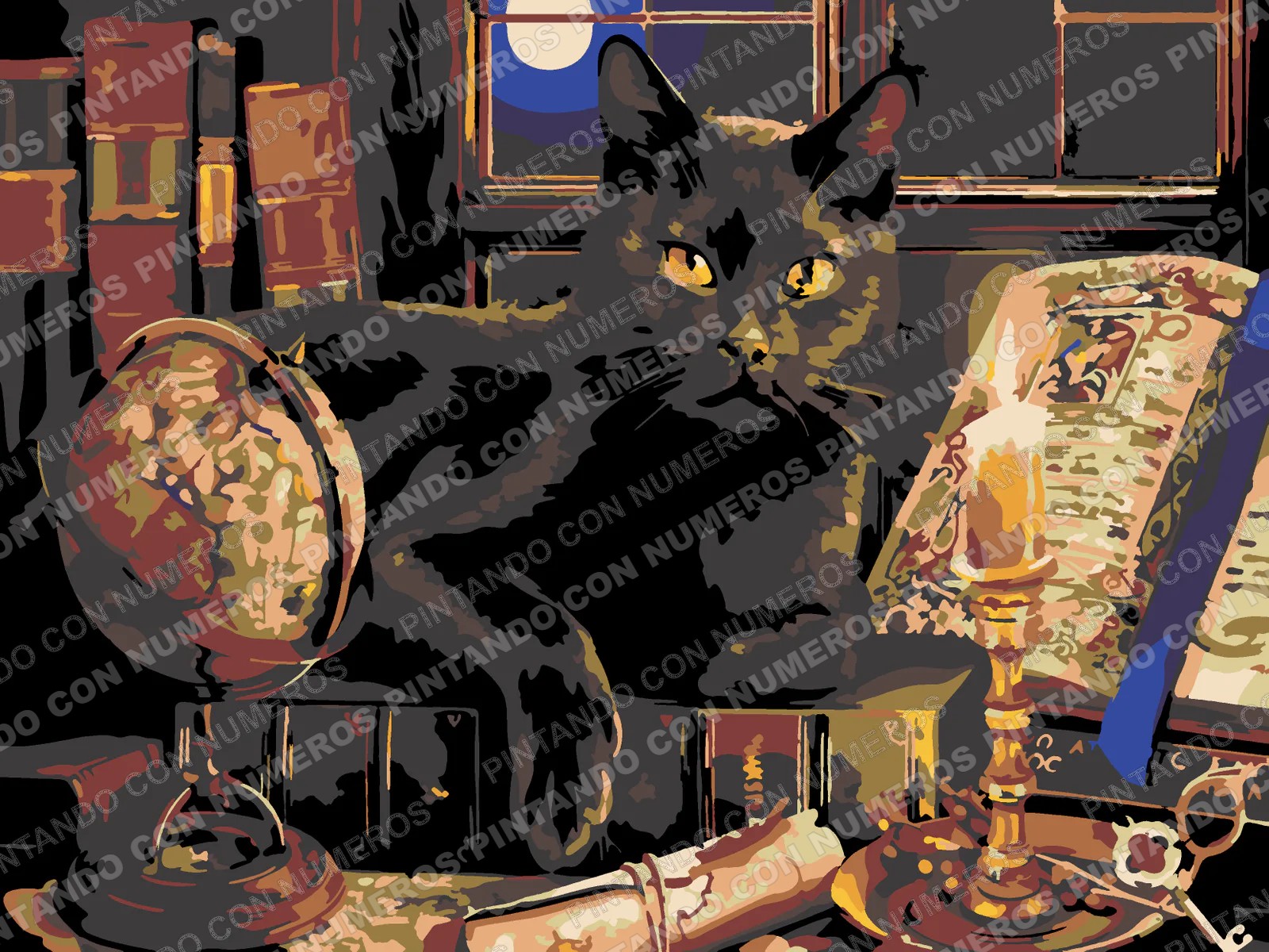 307 · GATO NEGRO Y VELA