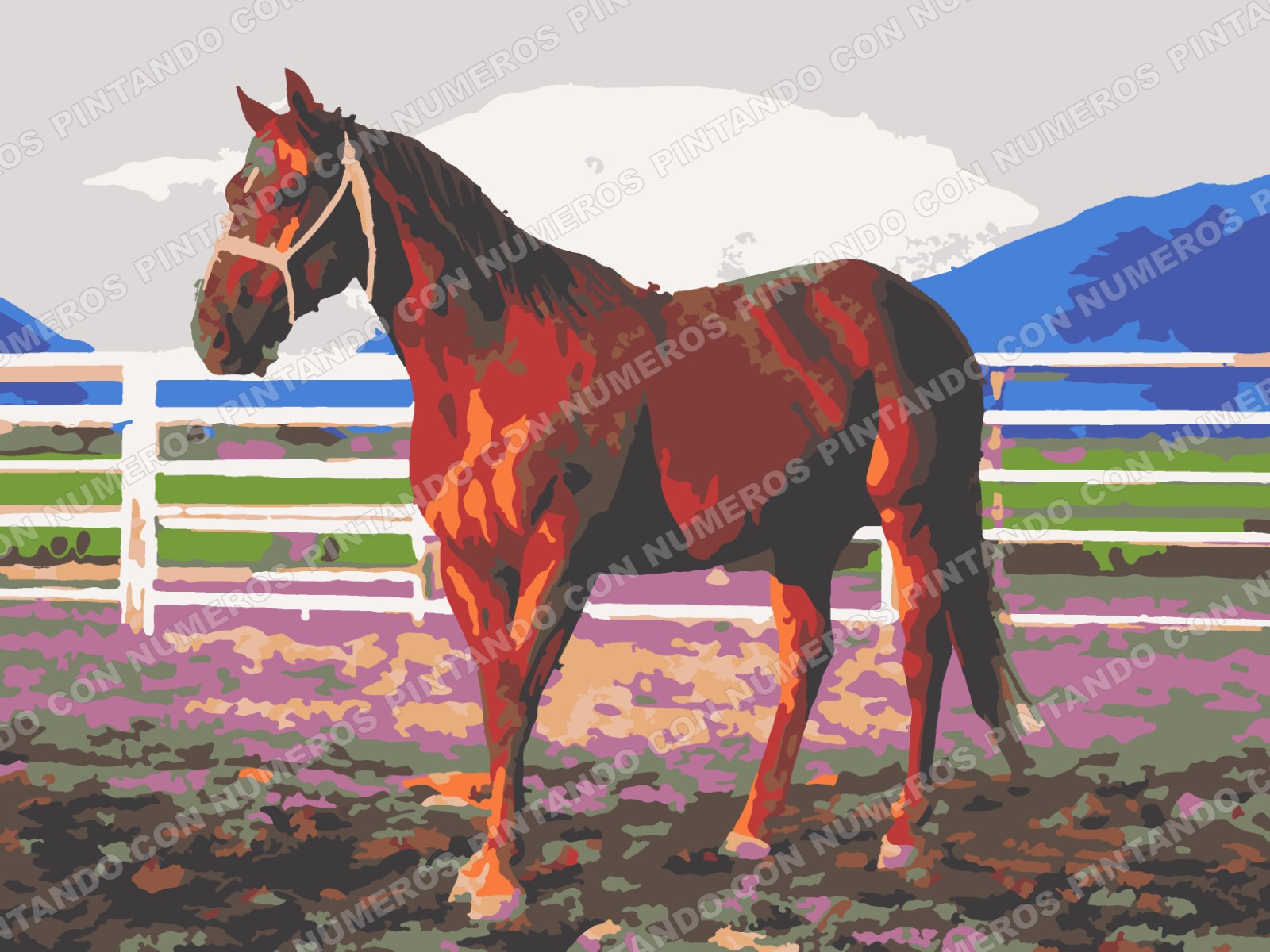 270 · CABALLO EN CORRAL
