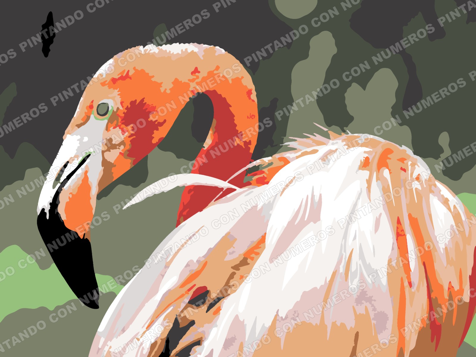 269 · FLAMENCO ROSADO