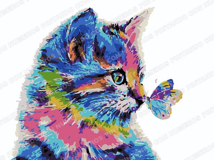 114 · GATO MARIPOSA