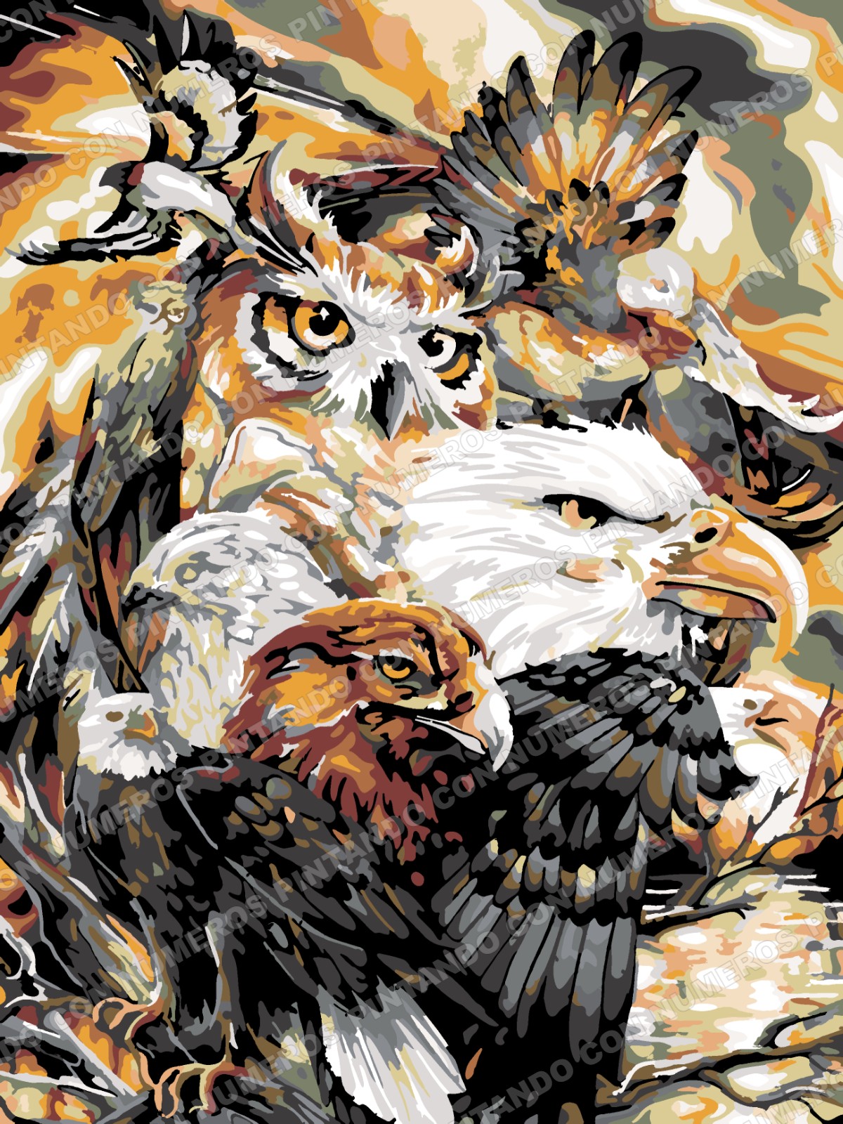 325 · AVES RAPACES