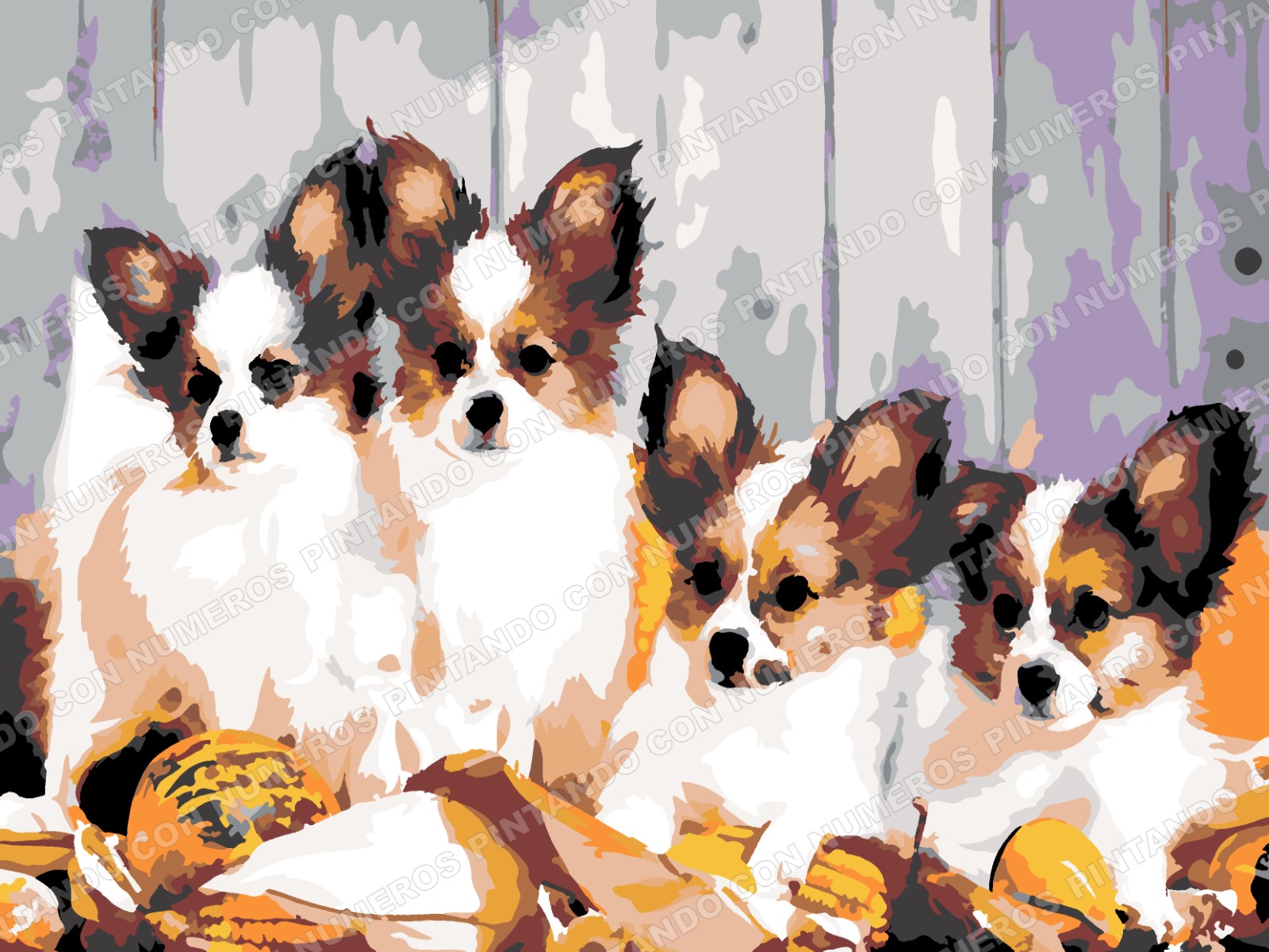 328 · CUATRO CACHORROS