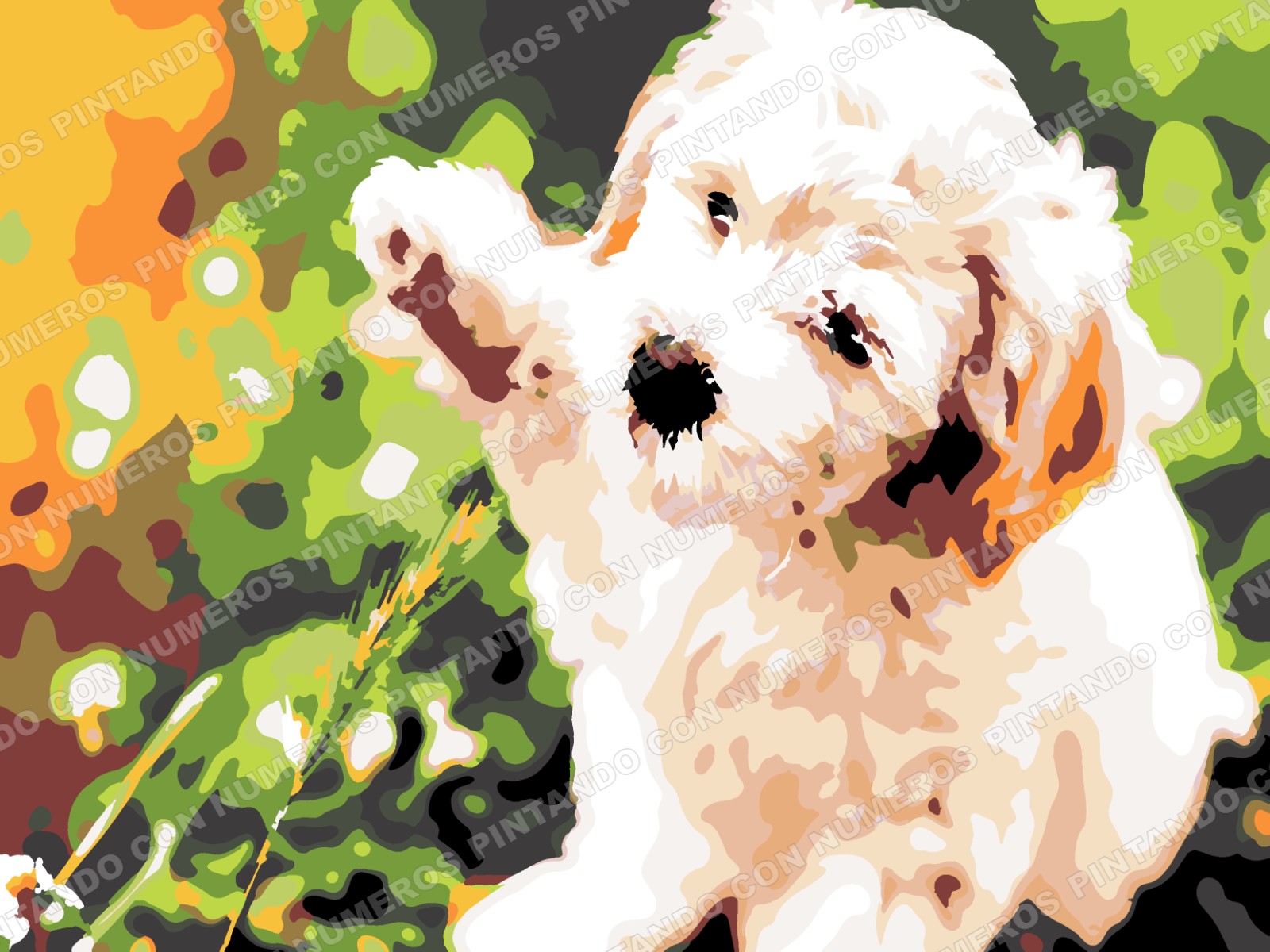 335 · PERRO BLANCO