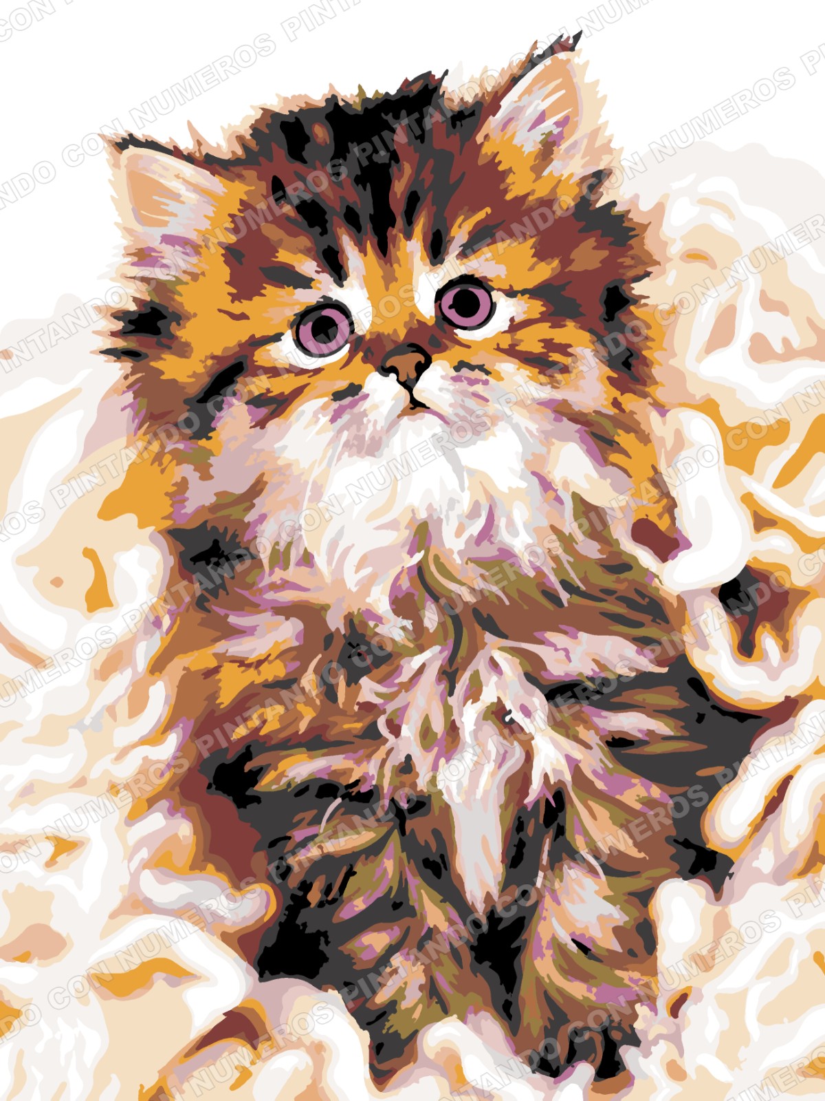 314 · GATITO OJOS AZULES