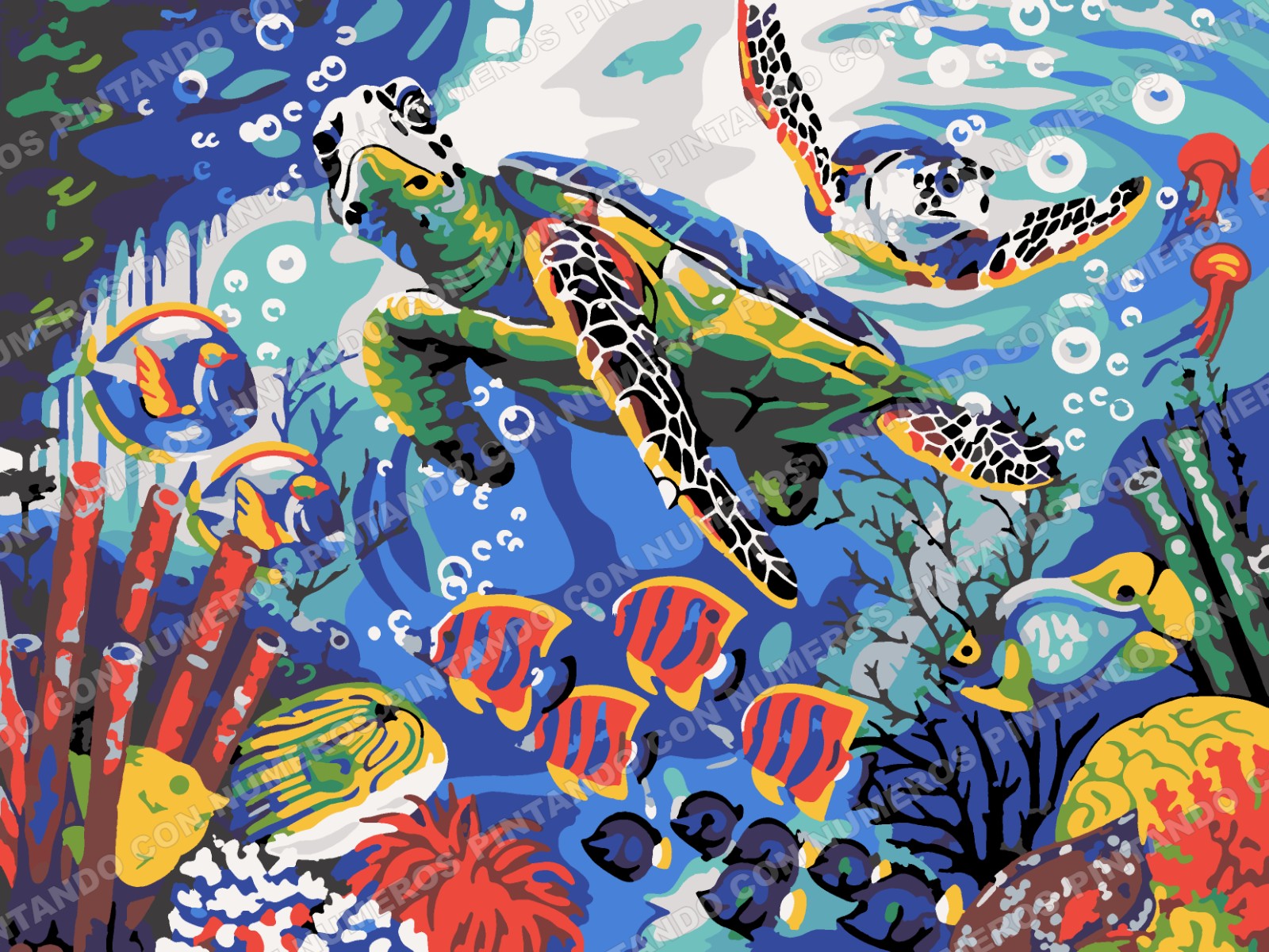 323 · TORTUGAS Y PECES