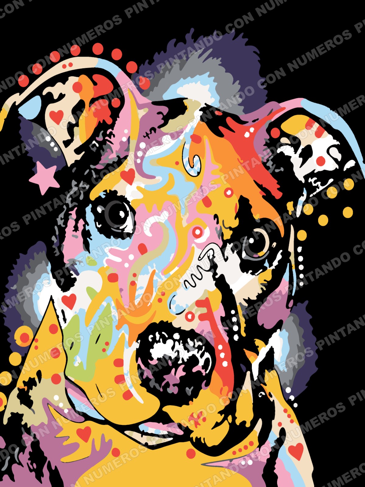 358 · PERRO MULTICOLOR