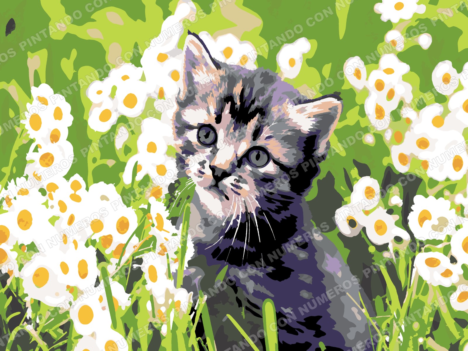 342 · GATITO Y MARGARITAS