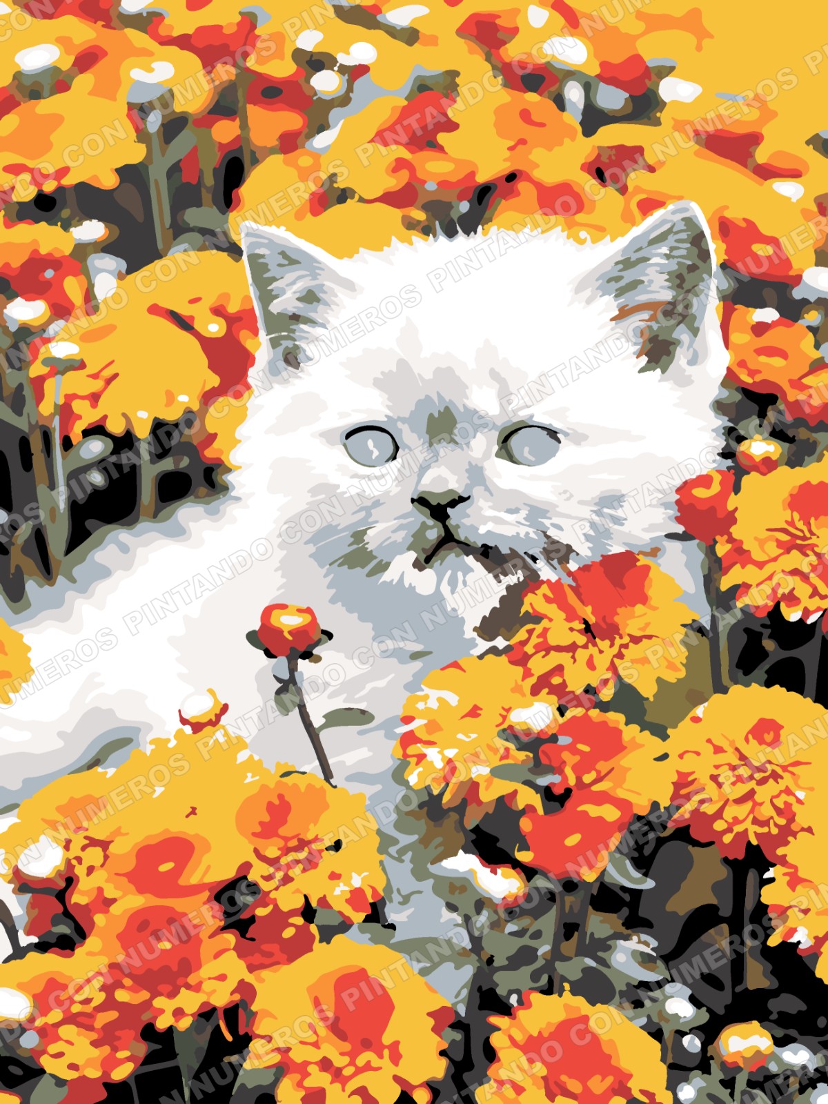 403 · GATO ENTRE CALENDULAS