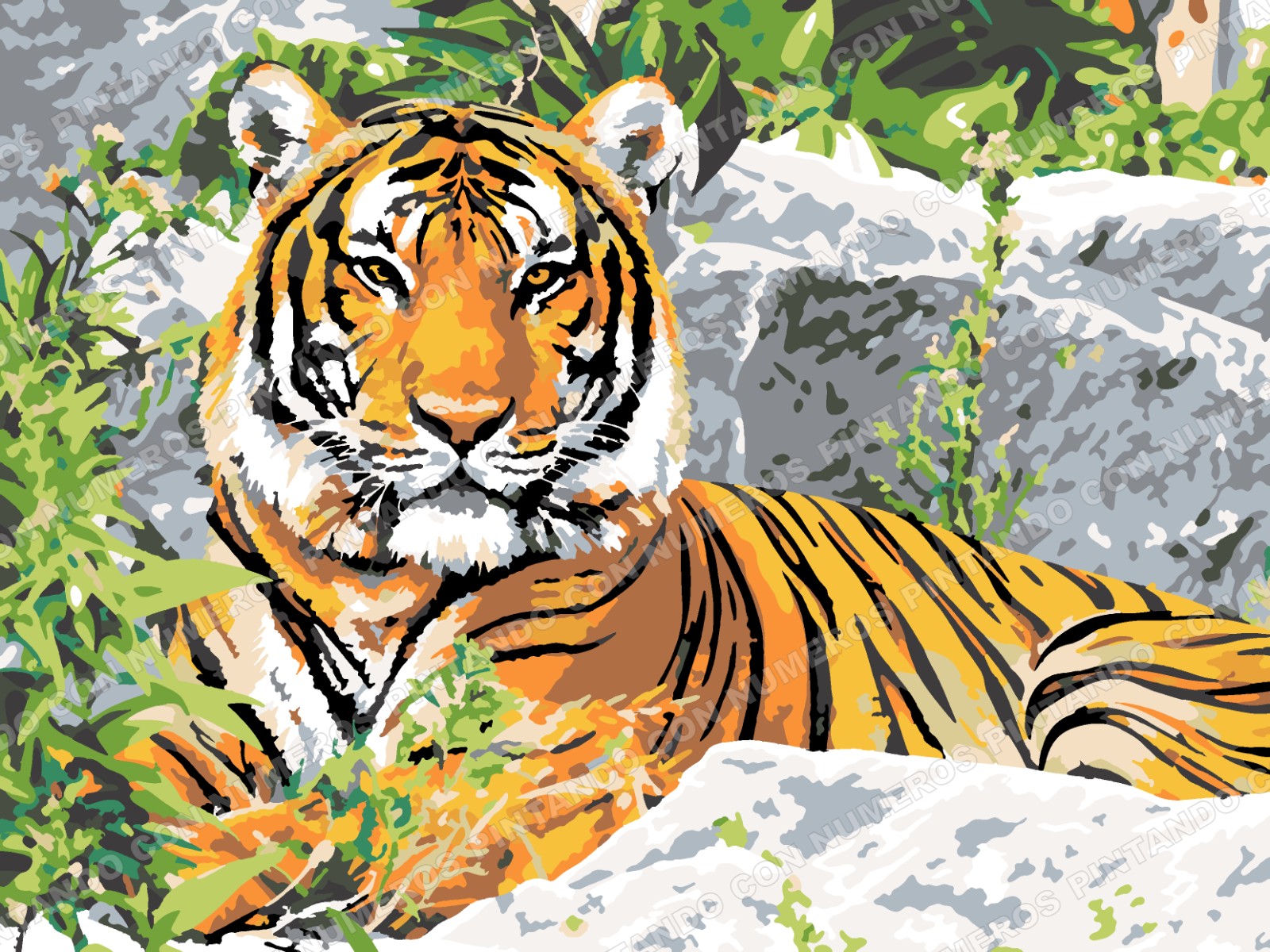 411 · TIGRE ENTRE ROCAS