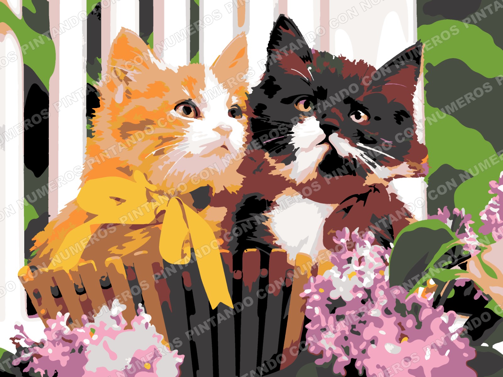 413 · GATITOS CON LAZOS