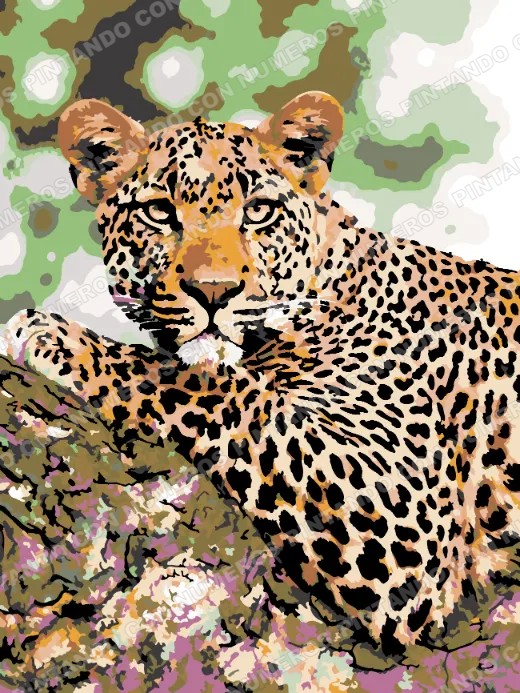 414 · LEOPARDO