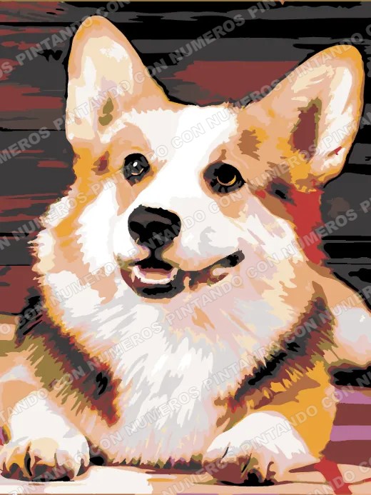 427 · PERRO 3