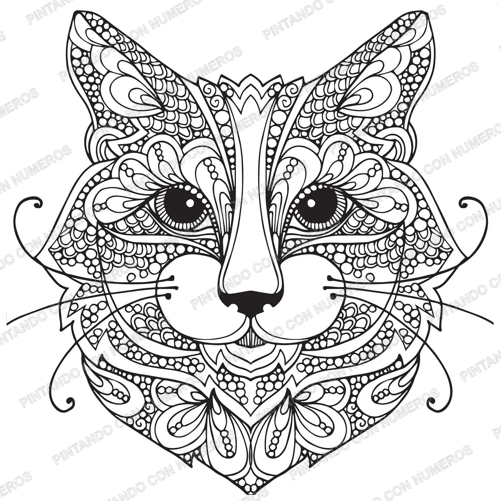 6 · 6 - MANDALA GATO 29