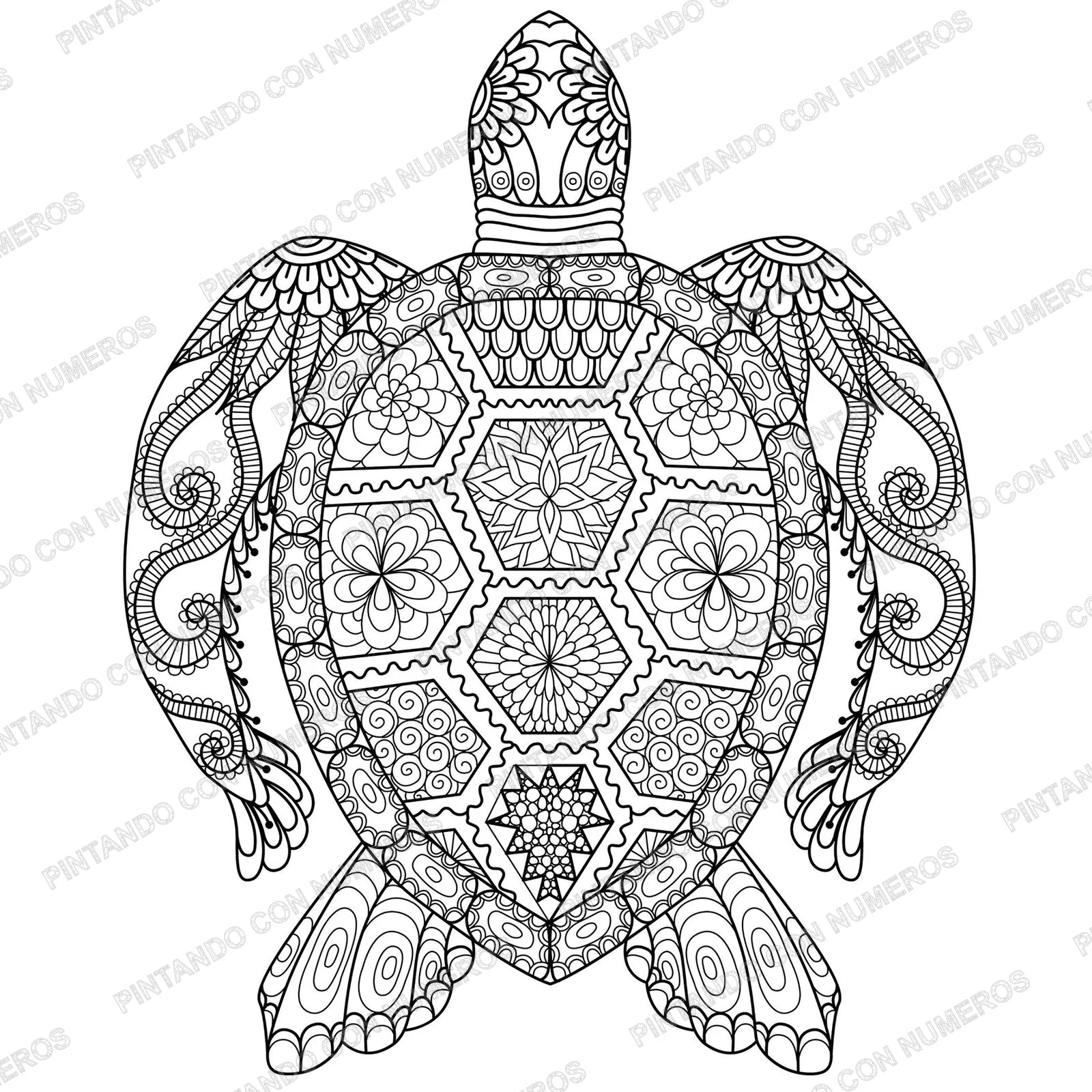 7 · 7 - MANDALA TORTUGA 29