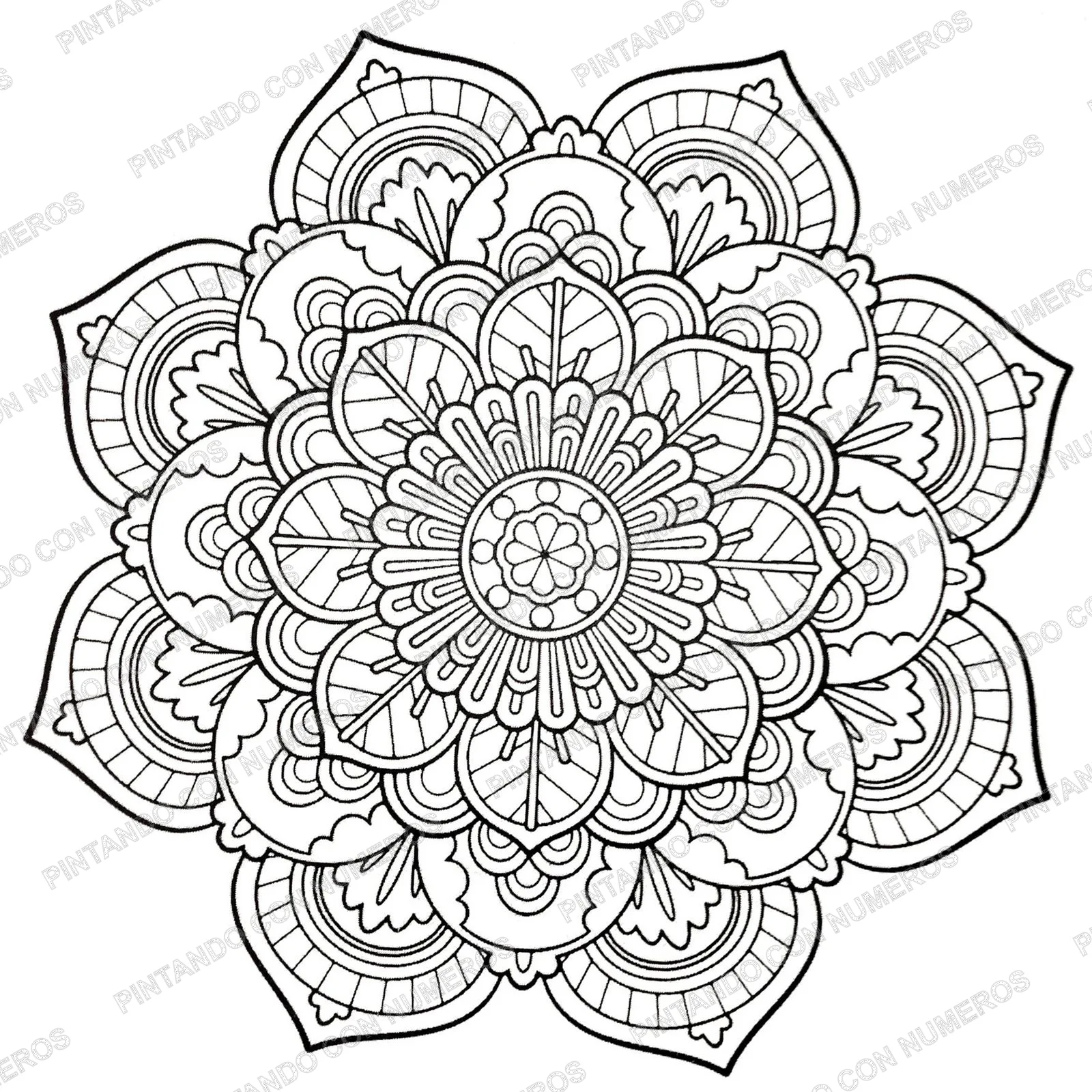 8 · 8 - MANDALA FLOR 29