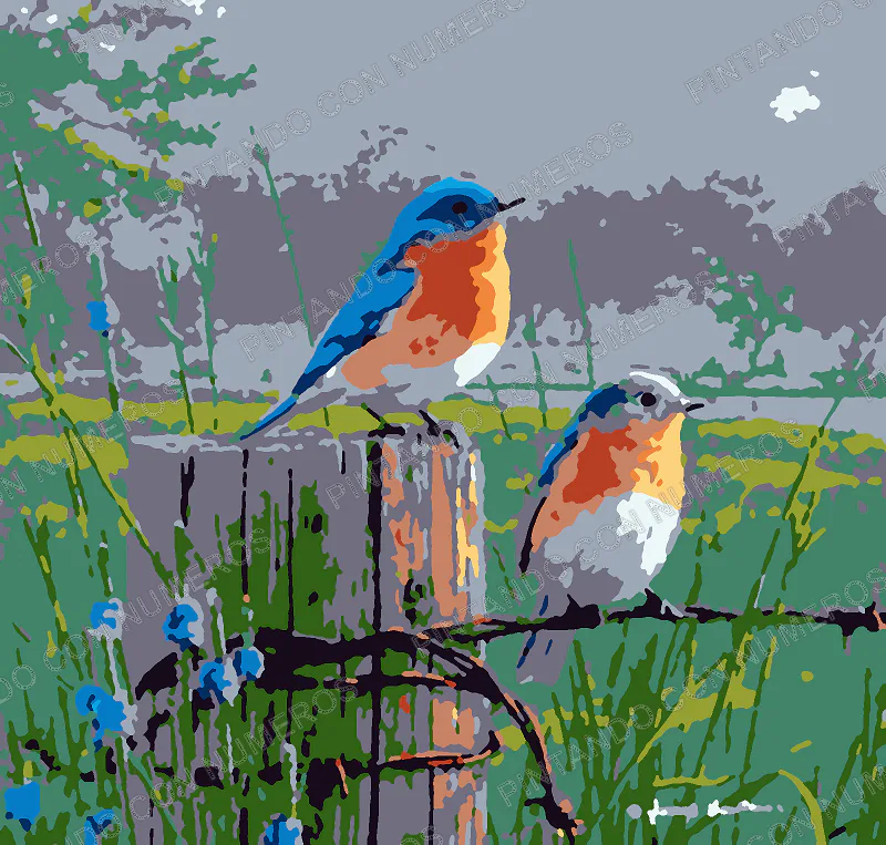 12 · 12 - PAJARITOS