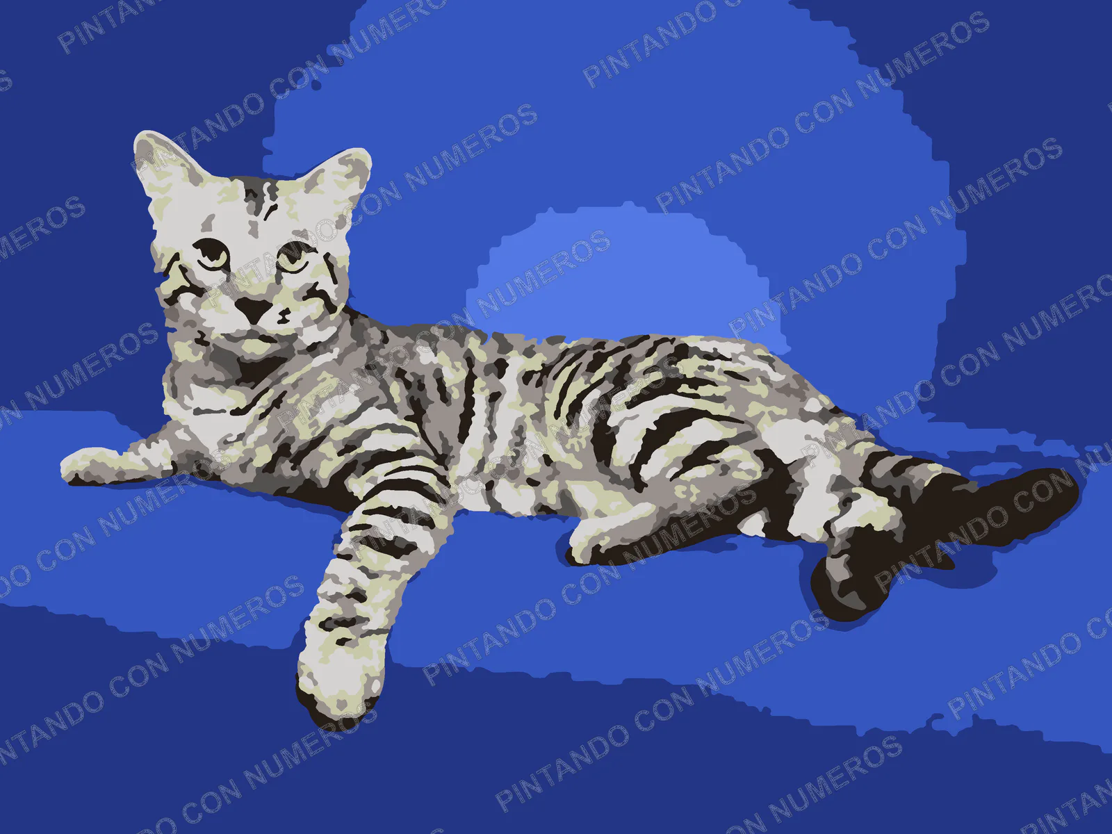 20 · 20 - GATO BLANCO