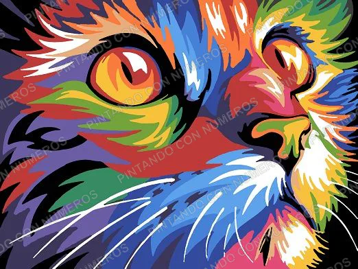 27 · GATO COLORES