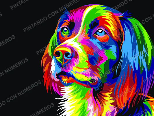 33 · PERRO