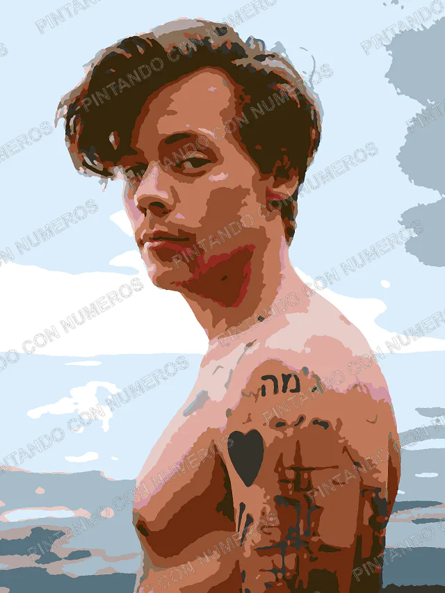 43 · HARRY STYLES PERFIL