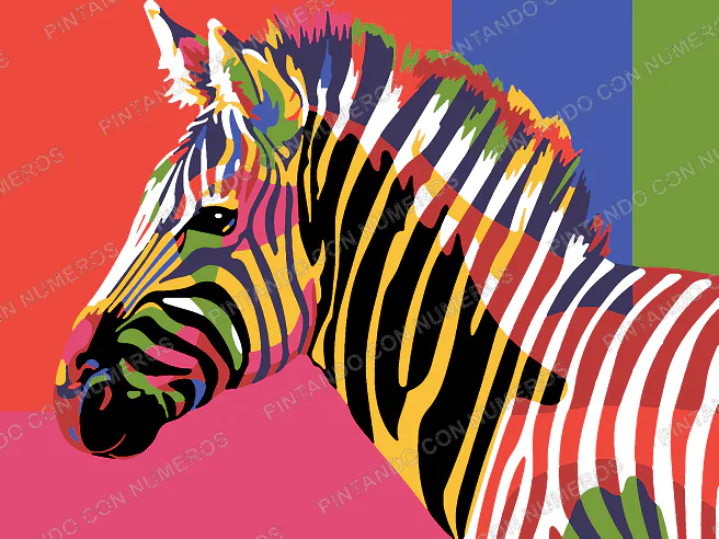 72 · 72 - ZEBRA COLORES