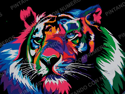 79 · 79 - TIGRE