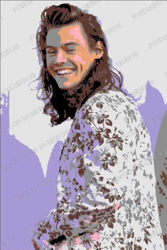 86 · 86 - HARRY STYLES 4