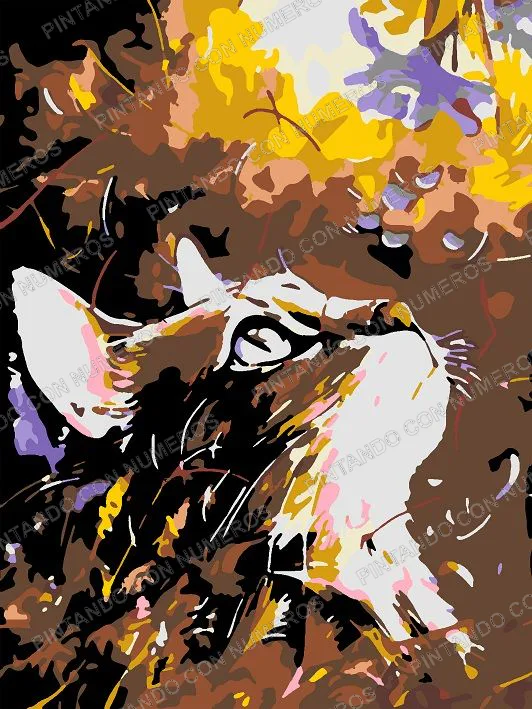88 · 88 - GATO FLOR