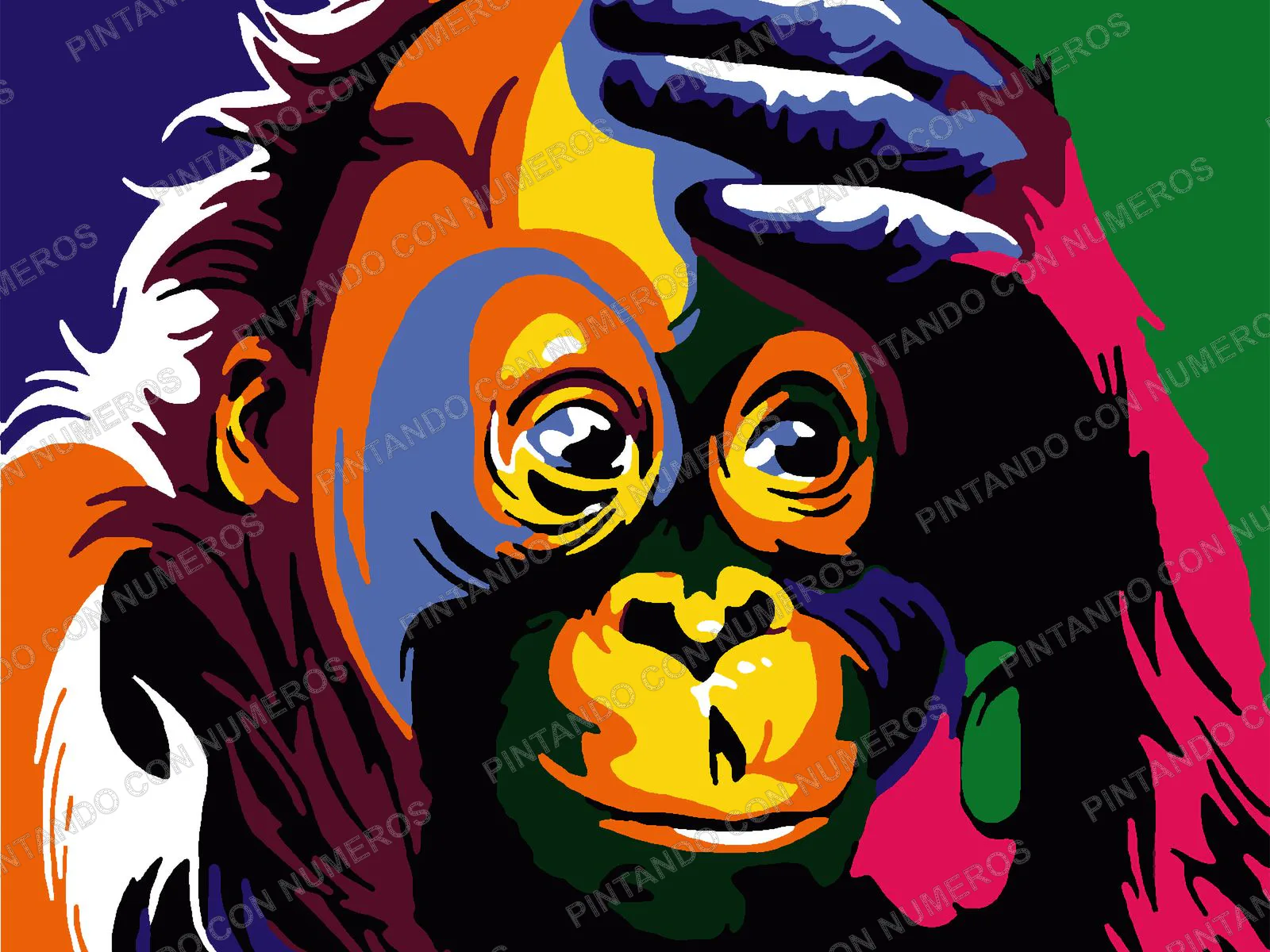 101 · ORANGUTAN