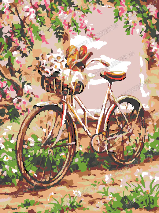123 · BICICLETA