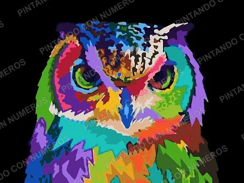 124 · BUHO MULTICOLOR