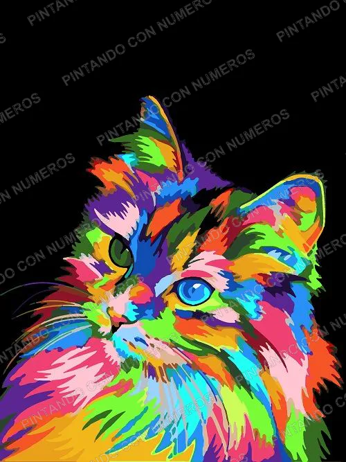 127 · GATITO MULTICOLOR