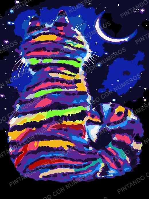 149 · GATO ESPALDA MULTICOLOR