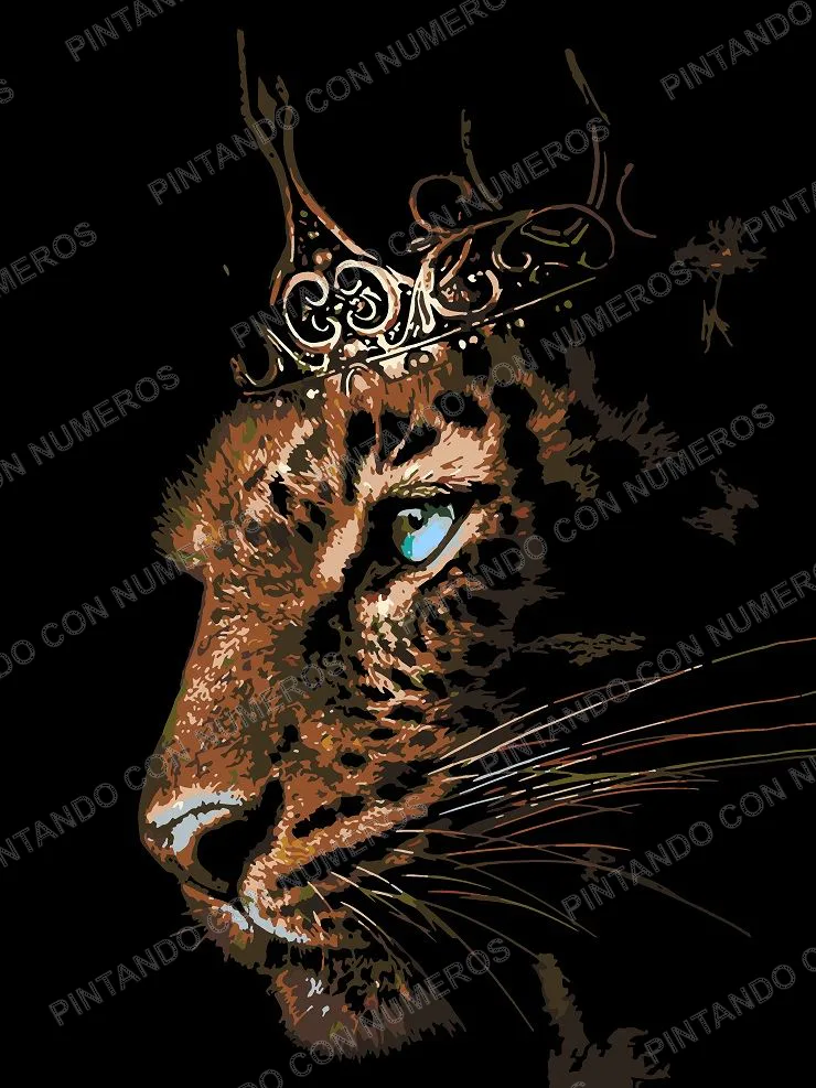 152 · LEOPARDO REY