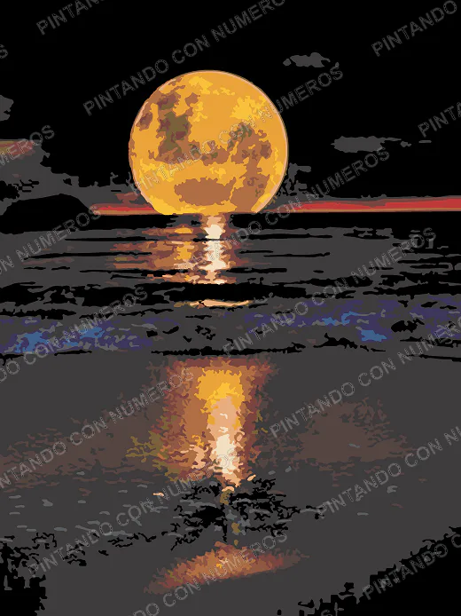 217 · NOCHE PLAYA