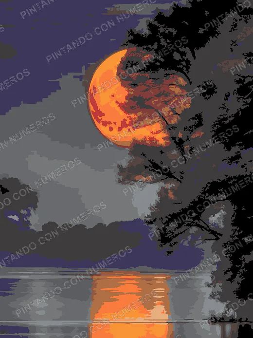 219 · LAGO LUNA